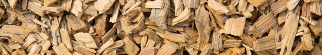Waste-to-Energy Recycling